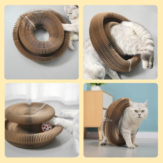 Foldable Accordion Cat Tunnel Toy – 2pc Scratch Pad with Ball Track & Magnetic Ends | Best Cardboard Cat Toy for Indoor Cats & Kittens