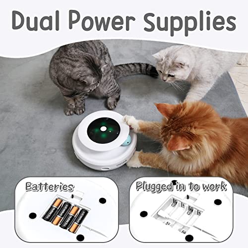 Orsda 2-in-1 Interactive Cat Toy – Smart LED Feather Spinner with Auto Timer & Dual Power | Best Electronic Cat Toy for Indoor Cats