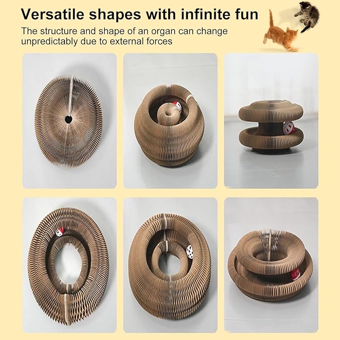 Foldable Accordion Cat Tunnel Toy – 2pc Scratch Pad with Ball Track & Magnetic Ends | Best Cardboard Cat Toy for Indoor Cats & Kittens