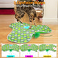 Automatic Feather Cat Toy – Touch-Activated USB Cat Toy with 3 Play Modes & Extra Feather Wand | Best Interactive Cat Toy for Indoor Cats